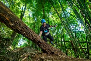 BIB: 
                            <button type="button" onclick="openModal(19070843)" class="btn btn-primary btn-sm float-right btn-popup" data-toggle="modal" data-target=".modal-high-quality">
                        <i class="fas fa-shopping-cart"></i> Add to Cart
                    </button>
                                            <button type="button" onclick="isThisMe(19070843, true)" class="btn btn-success btn-sm float-right btn-popup btn-isme hidden" data-toggle="tooltip" data-placement="bottom" title="นี่คือรูปของคุณใช่ไหม คลิกที่นี่เพื่อเอาเข้าอัลบั้ม">
                        <i class="fas fa-plus"></i> Add to album
                    </button>
                    <button type="button" onclick="isThisMe(19070843, false)" class="btn btn-warning btn-sm float-right btn-popup btn-isnotme hidden">
                        <i class="fas fa-ban"></i> Remove from album
                    </button>