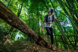 BIB: 
                            <button type="button" onclick="openModal(19068892)" class="btn btn-primary btn-sm float-right btn-popup" data-toggle="modal" data-target=".modal-high-quality">
                        <i class="fas fa-shopping-cart"></i> Add to Cart
                    </button>
                                            <button type="button" onclick="isThisMe(19068892, true)" class="btn btn-success btn-sm float-right btn-popup btn-isme hidden" data-toggle="tooltip" data-placement="bottom" title="นี่คือรูปของคุณใช่ไหม คลิกที่นี่เพื่อเอาเข้าอัลบั้ม">
                        <i class="fas fa-plus"></i> Add to album
                    </button>
                    <button type="button" onclick="isThisMe(19068892, false)" class="btn btn-warning btn-sm float-right btn-popup btn-isnotme hidden">
                        <i class="fas fa-ban"></i> Remove from album
                    </button>