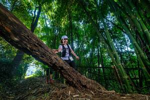 BIB: 
                            <button type="button" onclick="openModal(18996605)" class="btn btn-primary btn-sm float-right btn-popup" data-toggle="modal" data-target=".modal-high-quality">
                        <i class="fas fa-shopping-cart"></i> Add to Cart
                    </button>
                                            <button type="button" onclick="isThisMe(18996605, true)" class="btn btn-success btn-sm float-right btn-popup btn-isme hidden" data-toggle="tooltip" data-placement="bottom" title="นี่คือรูปของคุณใช่ไหม คลิกที่นี่เพื่อเอาเข้าอัลบั้ม">
                        <i class="fas fa-plus"></i> Add to album
                    </button>
                    <button type="button" onclick="isThisMe(18996605, false)" class="btn btn-warning btn-sm float-right btn-popup btn-isnotme hidden">
                        <i class="fas fa-ban"></i> Remove from album
                    </button>