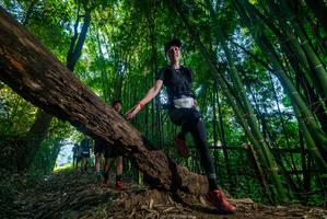 BIB: 0405
                            <button type="button" onclick="openModal(18990414)" class="btn btn-primary btn-sm float-right btn-popup" data-toggle="modal" data-target=".modal-high-quality">
                        <i class="fas fa-shopping-cart"></i> Add to Cart
                    </button>
                                            <button type="button" onclick="isThisMe(18990414, true)" class="btn btn-success btn-sm float-right btn-popup btn-isme hidden" data-toggle="tooltip" data-placement="bottom" title="นี่คือรูปของคุณใช่ไหม คลิกที่นี่เพื่อเอาเข้าอัลบั้ม">
                        <i class="fas fa-plus"></i> Add to album
                    </button>
                    <button type="button" onclick="isThisMe(18990414, false)" class="btn btn-warning btn-sm float-right btn-popup btn-isnotme hidden">
                        <i class="fas fa-ban"></i> Remove from album
                    </button>