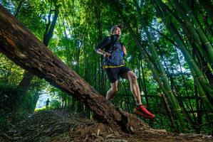 BIB: 
                            <button type="button" onclick="openModal(18998066)" class="btn btn-primary btn-sm float-right btn-popup" data-toggle="modal" data-target=".modal-high-quality">
                        <i class="fas fa-shopping-cart"></i> Add to Cart
                    </button>
                                            <button type="button" onclick="isThisMe(18998066, true)" class="btn btn-success btn-sm float-right btn-popup btn-isme hidden" data-toggle="tooltip" data-placement="bottom" title="นี่คือรูปของคุณใช่ไหม คลิกที่นี่เพื่อเอาเข้าอัลบั้ม">
                        <i class="fas fa-plus"></i> Add to album
                    </button>
                    <button type="button" onclick="isThisMe(18998066, false)" class="btn btn-warning btn-sm float-right btn-popup btn-isnotme hidden">
                        <i class="fas fa-ban"></i> Remove from album
                    </button>