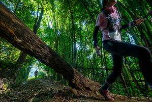 BIB: 
                            <button type="button" onclick="openModal(18998697)" class="btn btn-primary btn-sm float-right btn-popup" data-toggle="modal" data-target=".modal-high-quality">
                        <i class="fas fa-shopping-cart"></i> Add to Cart
                    </button>
                                            <button type="button" onclick="isThisMe(18998697, true)" class="btn btn-success btn-sm float-right btn-popup btn-isme hidden" data-toggle="tooltip" data-placement="bottom" title="นี่คือรูปของคุณใช่ไหม คลิกที่นี่เพื่อเอาเข้าอัลบั้ม">
                        <i class="fas fa-plus"></i> Add to album
                    </button>
                    <button type="button" onclick="isThisMe(18998697, false)" class="btn btn-warning btn-sm float-right btn-popup btn-isnotme hidden">
                        <i class="fas fa-ban"></i> Remove from album
                    </button>