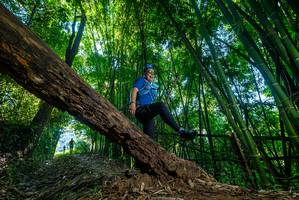 BIB: 
                            <button type="button" onclick="openModal(18995164)" class="btn btn-primary btn-sm float-right btn-popup" data-toggle="modal" data-target=".modal-high-quality">
                        <i class="fas fa-shopping-cart"></i> Add to Cart
                    </button>
                                            <button type="button" onclick="isThisMe(18995164, true)" class="btn btn-success btn-sm float-right btn-popup btn-isme hidden" data-toggle="tooltip" data-placement="bottom" title="นี่คือรูปของคุณใช่ไหม คลิกที่นี่เพื่อเอาเข้าอัลบั้ม">
                        <i class="fas fa-plus"></i> Add to album
                    </button>
                    <button type="button" onclick="isThisMe(18995164, false)" class="btn btn-warning btn-sm float-right btn-popup btn-isnotme hidden">
                        <i class="fas fa-ban"></i> Remove from album
                    </button>