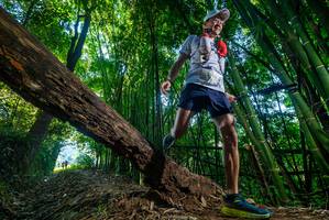 BIB: 
                            <button type="button" onclick="openModal(18995039)" class="btn btn-primary btn-sm float-right btn-popup" data-toggle="modal" data-target=".modal-high-quality">
                        <i class="fas fa-shopping-cart"></i> Add to Cart
                    </button>
                                            <button type="button" onclick="isThisMe(18995039, true)" class="btn btn-success btn-sm float-right btn-popup btn-isme hidden" data-toggle="tooltip" data-placement="bottom" title="นี่คือรูปของคุณใช่ไหม คลิกที่นี่เพื่อเอาเข้าอัลบั้ม">
                        <i class="fas fa-plus"></i> Add to album
                    </button>
                    <button type="button" onclick="isThisMe(18995039, false)" class="btn btn-warning btn-sm float-right btn-popup btn-isnotme hidden">
                        <i class="fas fa-ban"></i> Remove from album
                    </button>