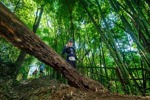 BIB: 
                            <button type="button" onclick="openModal(19061119)" class="btn btn-primary btn-sm float-right btn-popup" data-toggle="modal" data-target=".modal-high-quality">
                        <i class="fas fa-shopping-cart"></i> Add to Cart
                    </button>
                                            <button type="button" onclick="isThisMe(19061119, true)" class="btn btn-success btn-sm float-right btn-popup btn-isme hidden" data-toggle="tooltip" data-placement="bottom" title="นี่คือรูปของคุณใช่ไหม คลิกที่นี่เพื่อเอาเข้าอัลบั้ม">
                        <i class="fas fa-plus"></i> Add to album
                    </button>
                    <button type="button" onclick="isThisMe(19061119, false)" class="btn btn-warning btn-sm float-right btn-popup btn-isnotme hidden">
                        <i class="fas fa-ban"></i> Remove from album
                    </button>