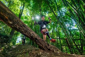 BIB: 
                            <button type="button" onclick="openModal(19063459)" class="btn btn-primary btn-sm float-right btn-popup" data-toggle="modal" data-target=".modal-high-quality">
                        <i class="fas fa-shopping-cart"></i> Add to Cart
                    </button>
                                            <button type="button" onclick="isThisMe(19063459, true)" class="btn btn-success btn-sm float-right btn-popup btn-isme hidden" data-toggle="tooltip" data-placement="bottom" title="นี่คือรูปของคุณใช่ไหม คลิกที่นี่เพื่อเอาเข้าอัลบั้ม">
                        <i class="fas fa-plus"></i> Add to album
                    </button>
                    <button type="button" onclick="isThisMe(19063459, false)" class="btn btn-warning btn-sm float-right btn-popup btn-isnotme hidden">
                        <i class="fas fa-ban"></i> Remove from album
                    </button>