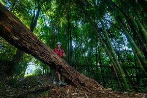 BIB: 
                            <button type="button" onclick="openModal(18993550)" class="btn btn-primary btn-sm float-right btn-popup" data-toggle="modal" data-target=".modal-high-quality">
                        <i class="fas fa-shopping-cart"></i> Add to Cart
                    </button>
                                            <button type="button" onclick="isThisMe(18993550, true)" class="btn btn-success btn-sm float-right btn-popup btn-isme hidden" data-toggle="tooltip" data-placement="bottom" title="นี่คือรูปของคุณใช่ไหม คลิกที่นี่เพื่อเอาเข้าอัลบั้ม">
                        <i class="fas fa-plus"></i> Add to album
                    </button>
                    <button type="button" onclick="isThisMe(18993550, false)" class="btn btn-warning btn-sm float-right btn-popup btn-isnotme hidden">
                        <i class="fas fa-ban"></i> Remove from album
                    </button>