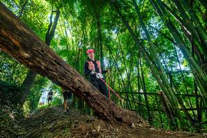 BIB: 
                            <button type="button" onclick="openModal(19063496)" class="btn btn-primary btn-sm float-right btn-popup" data-toggle="modal" data-target=".modal-high-quality">
                        <i class="fas fa-shopping-cart"></i> Add to Cart
                    </button>
                                            <button type="button" onclick="isThisMe(19063496, true)" class="btn btn-success btn-sm float-right btn-popup btn-isme hidden" data-toggle="tooltip" data-placement="bottom" title="นี่คือรูปของคุณใช่ไหม คลิกที่นี่เพื่อเอาเข้าอัลบั้ม">
                        <i class="fas fa-plus"></i> Add to album
                    </button>
                    <button type="button" onclick="isThisMe(19063496, false)" class="btn btn-warning btn-sm float-right btn-popup btn-isnotme hidden">
                        <i class="fas fa-ban"></i> Remove from album
                    </button>