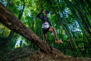 BIB: 4562, 
                            <button type="button" onclick="openModal(18999048)" class="btn btn-primary btn-sm float-right btn-popup" data-toggle="modal" data-target=".modal-high-quality">
                        <i class="fas fa-shopping-cart"></i> Add to Cart
                    </button>
                                            <button type="button" onclick="isThisMe(18999048, true)" class="btn btn-success btn-sm float-right btn-popup btn-isme hidden" data-toggle="tooltip" data-placement="bottom" title="นี่คือรูปของคุณใช่ไหม คลิกที่นี่เพื่อเอาเข้าอัลบั้ม">
                        <i class="fas fa-plus"></i> Add to album
                    </button>
                    <button type="button" onclick="isThisMe(18999048, false)" class="btn btn-warning btn-sm float-right btn-popup btn-isnotme hidden">
                        <i class="fas fa-ban"></i> Remove from album
                    </button>