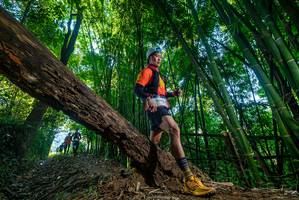 BIB: 
                            <button type="button" onclick="openModal(18998357)" class="btn btn-primary btn-sm float-right btn-popup" data-toggle="modal" data-target=".modal-high-quality">
                        <i class="fas fa-shopping-cart"></i> Add to Cart
                    </button>
                                            <button type="button" onclick="isThisMe(18998357, true)" class="btn btn-success btn-sm float-right btn-popup btn-isme hidden" data-toggle="tooltip" data-placement="bottom" title="นี่คือรูปของคุณใช่ไหม คลิกที่นี่เพื่อเอาเข้าอัลบั้ม">
                        <i class="fas fa-plus"></i> Add to album
                    </button>
                    <button type="button" onclick="isThisMe(18998357, false)" class="btn btn-warning btn-sm float-right btn-popup btn-isnotme hidden">
                        <i class="fas fa-ban"></i> Remove from album
                    </button>