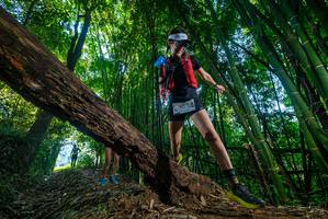 BIB: 
                            <button type="button" onclick="openModal(18993926)" class="btn btn-primary btn-sm float-right btn-popup" data-toggle="modal" data-target=".modal-high-quality">
                        <i class="fas fa-shopping-cart"></i> Add to Cart
                    </button>
                                            <button type="button" onclick="isThisMe(18993926, true)" class="btn btn-success btn-sm float-right btn-popup btn-isme hidden" data-toggle="tooltip" data-placement="bottom" title="นี่คือรูปของคุณใช่ไหม คลิกที่นี่เพื่อเอาเข้าอัลบั้ม">
                        <i class="fas fa-plus"></i> Add to album
                    </button>
                    <button type="button" onclick="isThisMe(18993926, false)" class="btn btn-warning btn-sm float-right btn-popup btn-isnotme hidden">
                        <i class="fas fa-ban"></i> Remove from album
                    </button>