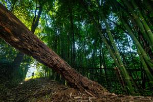 BIB: 
                            <button type="button" onclick="openModal(18987716)" class="btn btn-primary btn-sm float-right btn-popup" data-toggle="modal" data-target=".modal-high-quality">
                        <i class="fas fa-shopping-cart"></i> Add to Cart
                    </button>
                                            <button type="button" onclick="isThisMe(18987716, true)" class="btn btn-success btn-sm float-right btn-popup btn-isme hidden" data-toggle="tooltip" data-placement="bottom" title="นี่คือรูปของคุณใช่ไหม คลิกที่นี่เพื่อเอาเข้าอัลบั้ม">
                        <i class="fas fa-plus"></i> Add to album
                    </button>
                    <button type="button" onclick="isThisMe(18987716, false)" class="btn btn-warning btn-sm float-right btn-popup btn-isnotme hidden">
                        <i class="fas fa-ban"></i> Remove from album
                    </button>