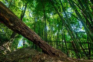 BIB: 
                            <button type="button" onclick="openModal(19067116)" class="btn btn-primary btn-sm float-right btn-popup" data-toggle="modal" data-target=".modal-high-quality">
                        <i class="fas fa-shopping-cart"></i> Add to Cart
                    </button>
                                            <button type="button" onclick="isThisMe(19067116, true)" class="btn btn-success btn-sm float-right btn-popup btn-isme hidden" data-toggle="tooltip" data-placement="bottom" title="นี่คือรูปของคุณใช่ไหม คลิกที่นี่เพื่อเอาเข้าอัลบั้ม">
                        <i class="fas fa-plus"></i> Add to album
                    </button>
                    <button type="button" onclick="isThisMe(19067116, false)" class="btn btn-warning btn-sm float-right btn-popup btn-isnotme hidden">
                        <i class="fas fa-ban"></i> Remove from album
                    </button>