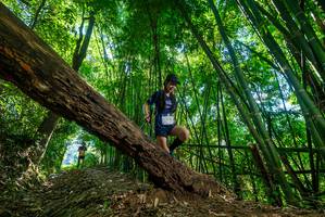 BIB: 
                            <button type="button" onclick="openModal(19069154)" class="btn btn-primary btn-sm float-right btn-popup" data-toggle="modal" data-target=".modal-high-quality">
                        <i class="fas fa-shopping-cart"></i> Add to Cart
                    </button>
                                            <button type="button" onclick="isThisMe(19069154, true)" class="btn btn-success btn-sm float-right btn-popup btn-isme hidden" data-toggle="tooltip" data-placement="bottom" title="นี่คือรูปของคุณใช่ไหม คลิกที่นี่เพื่อเอาเข้าอัลบั้ม">
                        <i class="fas fa-plus"></i> Add to album
                    </button>
                    <button type="button" onclick="isThisMe(19069154, false)" class="btn btn-warning btn-sm float-right btn-popup btn-isnotme hidden">
                        <i class="fas fa-ban"></i> Remove from album
                    </button>