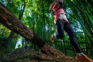 BIB: 2573, 
                            <button type="button" onclick="openModal(18999445)" class="btn btn-primary btn-sm float-right btn-popup" data-toggle="modal" data-target=".modal-high-quality">
                        <i class="fas fa-shopping-cart"></i> Add to Cart
                    </button>
                                            <button type="button" onclick="isThisMe(18999445, true)" class="btn btn-success btn-sm float-right btn-popup btn-isme hidden" data-toggle="tooltip" data-placement="bottom" title="นี่คือรูปของคุณใช่ไหม คลิกที่นี่เพื่อเอาเข้าอัลบั้ม">
                        <i class="fas fa-plus"></i> Add to album
                    </button>
                    <button type="button" onclick="isThisMe(18999445, false)" class="btn btn-warning btn-sm float-right btn-popup btn-isnotme hidden">
                        <i class="fas fa-ban"></i> Remove from album
                    </button>