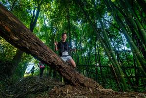 BIB: 
                            <button type="button" onclick="openModal(18990095)" class="btn btn-primary btn-sm float-right btn-popup" data-toggle="modal" data-target=".modal-high-quality">
                        <i class="fas fa-shopping-cart"></i> Add to Cart
                    </button>
                                            <button type="button" onclick="isThisMe(18990095, true)" class="btn btn-success btn-sm float-right btn-popup btn-isme hidden" data-toggle="tooltip" data-placement="bottom" title="นี่คือรูปของคุณใช่ไหม คลิกที่นี่เพื่อเอาเข้าอัลบั้ม">
                        <i class="fas fa-plus"></i> Add to album
                    </button>
                    <button type="button" onclick="isThisMe(18990095, false)" class="btn btn-warning btn-sm float-right btn-popup btn-isnotme hidden">
                        <i class="fas fa-ban"></i> Remove from album
                    </button>