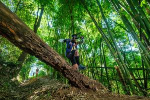 BIB: 
                            <button type="button" onclick="openModal(19071106)" class="btn btn-primary btn-sm float-right btn-popup" data-toggle="modal" data-target=".modal-high-quality">
                        <i class="fas fa-shopping-cart"></i> Add to Cart
                    </button>
                                            <button type="button" onclick="isThisMe(19071106, true)" class="btn btn-success btn-sm float-right btn-popup btn-isme hidden" data-toggle="tooltip" data-placement="bottom" title="นี่คือรูปของคุณใช่ไหม คลิกที่นี่เพื่อเอาเข้าอัลบั้ม">
                        <i class="fas fa-plus"></i> Add to album
                    </button>
                    <button type="button" onclick="isThisMe(19071106, false)" class="btn btn-warning btn-sm float-right btn-popup btn-isnotme hidden">
                        <i class="fas fa-ban"></i> Remove from album
                    </button>