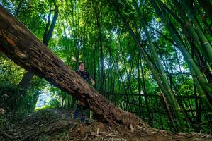 BIB: 
                            <button type="button" onclick="openModal(18992493)" class="btn btn-primary btn-sm float-right btn-popup" data-toggle="modal" data-target=".modal-high-quality">
                        <i class="fas fa-shopping-cart"></i> Add to Cart
                    </button>
                                            <button type="button" onclick="isThisMe(18992493, true)" class="btn btn-success btn-sm float-right btn-popup btn-isme hidden" data-toggle="tooltip" data-placement="bottom" title="นี่คือรูปของคุณใช่ไหม คลิกที่นี่เพื่อเอาเข้าอัลบั้ม">
                        <i class="fas fa-plus"></i> Add to album
                    </button>
                    <button type="button" onclick="isThisMe(18992493, false)" class="btn btn-warning btn-sm float-right btn-popup btn-isnotme hidden">
                        <i class="fas fa-ban"></i> Remove from album
                    </button>