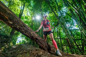 BIB: 3171
                            <button type="button" onclick="openModal(19063712)" class="btn btn-primary btn-sm float-right btn-popup" data-toggle="modal" data-target=".modal-high-quality">
                        <i class="fas fa-shopping-cart"></i> Add to Cart
                    </button>
                                            <button type="button" onclick="isThisMe(19063712, true)" class="btn btn-success btn-sm float-right btn-popup btn-isme hidden" data-toggle="tooltip" data-placement="bottom" title="นี่คือรูปของคุณใช่ไหม คลิกที่นี่เพื่อเอาเข้าอัลบั้ม">
                        <i class="fas fa-plus"></i> Add to album
                    </button>
                    <button type="button" onclick="isThisMe(19063712, false)" class="btn btn-warning btn-sm float-right btn-popup btn-isnotme hidden">
                        <i class="fas fa-ban"></i> Remove from album
                    </button>