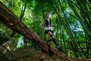 BIB: 
                            <button type="button" onclick="openModal(19066942)" class="btn btn-primary btn-sm float-right btn-popup" data-toggle="modal" data-target=".modal-high-quality">
                        <i class="fas fa-shopping-cart"></i> Add to Cart
                    </button>
                                            <button type="button" onclick="isThisMe(19066942, true)" class="btn btn-success btn-sm float-right btn-popup btn-isme hidden" data-toggle="tooltip" data-placement="bottom" title="นี่คือรูปของคุณใช่ไหม คลิกที่นี่เพื่อเอาเข้าอัลบั้ม">
                        <i class="fas fa-plus"></i> Add to album
                    </button>
                    <button type="button" onclick="isThisMe(19066942, false)" class="btn btn-warning btn-sm float-right btn-popup btn-isnotme hidden">
                        <i class="fas fa-ban"></i> Remove from album
                    </button>