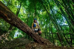 BIB: 
                            <button type="button" onclick="openModal(19066362)" class="btn btn-primary btn-sm float-right btn-popup" data-toggle="modal" data-target=".modal-high-quality">
                        <i class="fas fa-shopping-cart"></i> Add to Cart
                    </button>
                                            <button type="button" onclick="isThisMe(19066362, true)" class="btn btn-success btn-sm float-right btn-popup btn-isme hidden" data-toggle="tooltip" data-placement="bottom" title="นี่คือรูปของคุณใช่ไหม คลิกที่นี่เพื่อเอาเข้าอัลบั้ม">
                        <i class="fas fa-plus"></i> Add to album
                    </button>
                    <button type="button" onclick="isThisMe(19066362, false)" class="btn btn-warning btn-sm float-right btn-popup btn-isnotme hidden">
                        <i class="fas fa-ban"></i> Remove from album
                    </button>