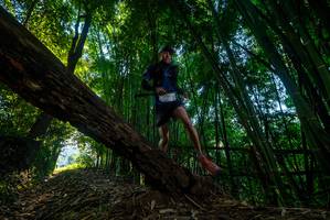 BIB: 
                            <button type="button" onclick="openModal(18989735)" class="btn btn-primary btn-sm float-right btn-popup" data-toggle="modal" data-target=".modal-high-quality">
                        <i class="fas fa-shopping-cart"></i> Add to Cart
                    </button>
                                            <button type="button" onclick="isThisMe(18989735, true)" class="btn btn-success btn-sm float-right btn-popup btn-isme hidden" data-toggle="tooltip" data-placement="bottom" title="นี่คือรูปของคุณใช่ไหม คลิกที่นี่เพื่อเอาเข้าอัลบั้ม">
                        <i class="fas fa-plus"></i> Add to album
                    </button>
                    <button type="button" onclick="isThisMe(18989735, false)" class="btn btn-warning btn-sm float-right btn-popup btn-isnotme hidden">
                        <i class="fas fa-ban"></i> Remove from album
                    </button>