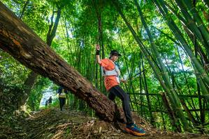 BIB: 
                            <button type="button" onclick="openModal(19070492)" class="btn btn-primary btn-sm float-right btn-popup" data-toggle="modal" data-target=".modal-high-quality">
                        <i class="fas fa-shopping-cart"></i> Add to Cart
                    </button>
                                            <button type="button" onclick="isThisMe(19070492, true)" class="btn btn-success btn-sm float-right btn-popup btn-isme hidden" data-toggle="tooltip" data-placement="bottom" title="นี่คือรูปของคุณใช่ไหม คลิกที่นี่เพื่อเอาเข้าอัลบั้ม">
                        <i class="fas fa-plus"></i> Add to album
                    </button>
                    <button type="button" onclick="isThisMe(19070492, false)" class="btn btn-warning btn-sm float-right btn-popup btn-isnotme hidden">
                        <i class="fas fa-ban"></i> Remove from album
                    </button>