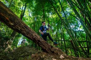 BIB: 201
                            <button type="button" onclick="openModal(19068246)" class="btn btn-primary btn-sm float-right btn-popup" data-toggle="modal" data-target=".modal-high-quality">
                        <i class="fas fa-shopping-cart"></i> Add to Cart
                    </button>
                                            <button type="button" onclick="isThisMe(19068246, true)" class="btn btn-success btn-sm float-right btn-popup btn-isme hidden" data-toggle="tooltip" data-placement="bottom" title="นี่คือรูปของคุณใช่ไหม คลิกที่นี่เพื่อเอาเข้าอัลบั้ม">
                        <i class="fas fa-plus"></i> Add to album
                    </button>
                    <button type="button" onclick="isThisMe(19068246, false)" class="btn btn-warning btn-sm float-right btn-popup btn-isnotme hidden">
                        <i class="fas fa-ban"></i> Remove from album
                    </button>