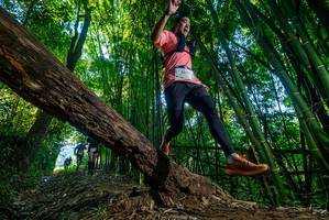 BIB: 257
                            <button type="button" onclick="openModal(18999437)" class="btn btn-primary btn-sm float-right btn-popup" data-toggle="modal" data-target=".modal-high-quality">
                        <i class="fas fa-shopping-cart"></i> Add to Cart
                    </button>
                                            <button type="button" onclick="isThisMe(18999437, true)" class="btn btn-success btn-sm float-right btn-popup btn-isme hidden" data-toggle="tooltip" data-placement="bottom" title="นี่คือรูปของคุณใช่ไหม คลิกที่นี่เพื่อเอาเข้าอัลบั้ม">
                        <i class="fas fa-plus"></i> Add to album
                    </button>
                    <button type="button" onclick="isThisMe(18999437, false)" class="btn btn-warning btn-sm float-right btn-popup btn-isnotme hidden">
                        <i class="fas fa-ban"></i> Remove from album
                    </button>