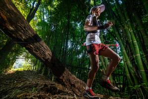 BIB: 
                            <button type="button" onclick="openModal(18986565)" class="btn btn-primary btn-sm float-right btn-popup" data-toggle="modal" data-target=".modal-high-quality">
                        <i class="fas fa-shopping-cart"></i> Add to Cart
                    </button>
                                            <button type="button" onclick="isThisMe(18986565, true)" class="btn btn-success btn-sm float-right btn-popup btn-isme hidden" data-toggle="tooltip" data-placement="bottom" title="นี่คือรูปของคุณใช่ไหม คลิกที่นี่เพื่อเอาเข้าอัลบั้ม">
                        <i class="fas fa-plus"></i> Add to album
                    </button>
                    <button type="button" onclick="isThisMe(18986565, false)" class="btn btn-warning btn-sm float-right btn-popup btn-isnotme hidden">
                        <i class="fas fa-ban"></i> Remove from album
                    </button>