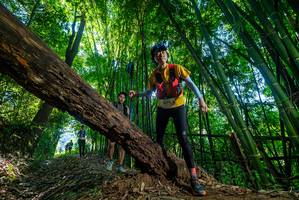 BIB: 0431
                            <button type="button" onclick="openModal(18999346)" class="btn btn-primary btn-sm float-right btn-popup" data-toggle="modal" data-target=".modal-high-quality">
                        <i class="fas fa-shopping-cart"></i> Add to Cart
                    </button>
                                            <button type="button" onclick="isThisMe(18999346, true)" class="btn btn-success btn-sm float-right btn-popup btn-isme hidden" data-toggle="tooltip" data-placement="bottom" title="นี่คือรูปของคุณใช่ไหม คลิกที่นี่เพื่อเอาเข้าอัลบั้ม">
                        <i class="fas fa-plus"></i> Add to album
                    </button>
                    <button type="button" onclick="isThisMe(18999346, false)" class="btn btn-warning btn-sm float-right btn-popup btn-isnotme hidden">
                        <i class="fas fa-ban"></i> Remove from album
                    </button>