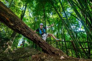 BIB: 201, 
                            <button type="button" onclick="openModal(19068329)" class="btn btn-primary btn-sm float-right btn-popup" data-toggle="modal" data-target=".modal-high-quality">
                        <i class="fas fa-shopping-cart"></i> Add to Cart
                    </button>
                                            <button type="button" onclick="isThisMe(19068329, true)" class="btn btn-success btn-sm float-right btn-popup btn-isme hidden" data-toggle="tooltip" data-placement="bottom" title="นี่คือรูปของคุณใช่ไหม คลิกที่นี่เพื่อเอาเข้าอัลบั้ม">
                        <i class="fas fa-plus"></i> Add to album
                    </button>
                    <button type="button" onclick="isThisMe(19068329, false)" class="btn btn-warning btn-sm float-right btn-popup btn-isnotme hidden">
                        <i class="fas fa-ban"></i> Remove from album
                    </button>