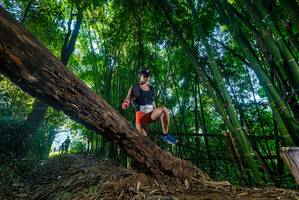 BIB: 
                            <button type="button" onclick="openModal(18989796)" class="btn btn-primary btn-sm float-right btn-popup" data-toggle="modal" data-target=".modal-high-quality">
                        <i class="fas fa-shopping-cart"></i> Add to Cart
                    </button>
                                            <button type="button" onclick="isThisMe(18989796, true)" class="btn btn-success btn-sm float-right btn-popup btn-isme hidden" data-toggle="tooltip" data-placement="bottom" title="นี่คือรูปของคุณใช่ไหม คลิกที่นี่เพื่อเอาเข้าอัลบั้ม">
                        <i class="fas fa-plus"></i> Add to album
                    </button>
                    <button type="button" onclick="isThisMe(18989796, false)" class="btn btn-warning btn-sm float-right btn-popup btn-isnotme hidden">
                        <i class="fas fa-ban"></i> Remove from album
                    </button>