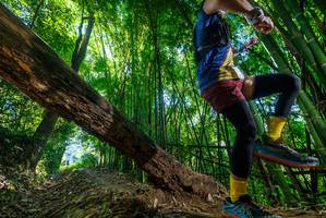 BIB: 
                            <button type="button" onclick="openModal(19058572)" class="btn btn-primary btn-sm float-right btn-popup" data-toggle="modal" data-target=".modal-high-quality">
                        <i class="fas fa-shopping-cart"></i> Add to Cart
                    </button>
                                            <button type="button" onclick="isThisMe(19058572, true)" class="btn btn-success btn-sm float-right btn-popup btn-isme hidden" data-toggle="tooltip" data-placement="bottom" title="นี่คือรูปของคุณใช่ไหม คลิกที่นี่เพื่อเอาเข้าอัลบั้ม">
                        <i class="fas fa-plus"></i> Add to album
                    </button>
                    <button type="button" onclick="isThisMe(19058572, false)" class="btn btn-warning btn-sm float-right btn-popup btn-isnotme hidden">
                        <i class="fas fa-ban"></i> Remove from album
                    </button>