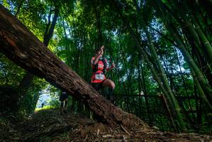 BIB: 338
                            <button type="button" onclick="openModal(18990320)" class="btn btn-primary btn-sm float-right btn-popup" data-toggle="modal" data-target=".modal-high-quality">
                        <i class="fas fa-shopping-cart"></i> Add to Cart
                    </button>
                                            <button type="button" onclick="isThisMe(18990320, true)" class="btn btn-success btn-sm float-right btn-popup btn-isme hidden" data-toggle="tooltip" data-placement="bottom" title="นี่คือรูปของคุณใช่ไหม คลิกที่นี่เพื่อเอาเข้าอัลบั้ม">
                        <i class="fas fa-plus"></i> Add to album
                    </button>
                    <button type="button" onclick="isThisMe(18990320, false)" class="btn btn-warning btn-sm float-right btn-popup btn-isnotme hidden">
                        <i class="fas fa-ban"></i> Remove from album
                    </button>