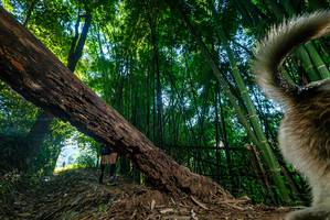 BIB: 
                            <button type="button" onclick="openModal(18991584)" class="btn btn-primary btn-sm float-right btn-popup" data-toggle="modal" data-target=".modal-high-quality">
                        <i class="fas fa-shopping-cart"></i> Add to Cart
                    </button>
                                            <button type="button" onclick="isThisMe(18991584, true)" class="btn btn-success btn-sm float-right btn-popup btn-isme hidden" data-toggle="tooltip" data-placement="bottom" title="นี่คือรูปของคุณใช่ไหม คลิกที่นี่เพื่อเอาเข้าอัลบั้ม">
                        <i class="fas fa-plus"></i> Add to album
                    </button>
                    <button type="button" onclick="isThisMe(18991584, false)" class="btn btn-warning btn-sm float-right btn-popup btn-isnotme hidden">
                        <i class="fas fa-ban"></i> Remove from album
                    </button>