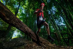 BIB: 
                            <button type="button" onclick="openModal(18991542)" class="btn btn-primary btn-sm float-right btn-popup" data-toggle="modal" data-target=".modal-high-quality">
                        <i class="fas fa-shopping-cart"></i> Add to Cart
                    </button>
                                            <button type="button" onclick="isThisMe(18991542, true)" class="btn btn-success btn-sm float-right btn-popup btn-isme hidden" data-toggle="tooltip" data-placement="bottom" title="นี่คือรูปของคุณใช่ไหม คลิกที่นี่เพื่อเอาเข้าอัลบั้ม">
                        <i class="fas fa-plus"></i> Add to album
                    </button>
                    <button type="button" onclick="isThisMe(18991542, false)" class="btn btn-warning btn-sm float-right btn-popup btn-isnotme hidden">
                        <i class="fas fa-ban"></i> Remove from album
                    </button>