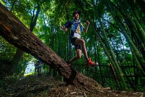 BIB: 300
                            <button type="button" onclick="openModal(18993527)" class="btn btn-primary btn-sm float-right btn-popup" data-toggle="modal" data-target=".modal-high-quality">
                        <i class="fas fa-shopping-cart"></i> Add to Cart
                    </button>
                                            <button type="button" onclick="isThisMe(18993527, true)" class="btn btn-success btn-sm float-right btn-popup btn-isme hidden" data-toggle="tooltip" data-placement="bottom" title="นี่คือรูปของคุณใช่ไหม คลิกที่นี่เพื่อเอาเข้าอัลบั้ม">
                        <i class="fas fa-plus"></i> Add to album
                    </button>
                    <button type="button" onclick="isThisMe(18993527, false)" class="btn btn-warning btn-sm float-right btn-popup btn-isnotme hidden">
                        <i class="fas fa-ban"></i> Remove from album
                    </button>