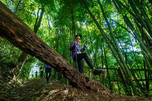 BIB: 
                            <button type="button" onclick="openModal(19069356)" class="btn btn-primary btn-sm float-right btn-popup" data-toggle="modal" data-target=".modal-high-quality">
                        <i class="fas fa-shopping-cart"></i> Add to Cart
                    </button>
                                            <button type="button" onclick="isThisMe(19069356, true)" class="btn btn-success btn-sm float-right btn-popup btn-isme hidden" data-toggle="tooltip" data-placement="bottom" title="นี่คือรูปของคุณใช่ไหม คลิกที่นี่เพื่อเอาเข้าอัลบั้ม">
                        <i class="fas fa-plus"></i> Add to album
                    </button>
                    <button type="button" onclick="isThisMe(19069356, false)" class="btn btn-warning btn-sm float-right btn-popup btn-isnotme hidden">
                        <i class="fas fa-ban"></i> Remove from album
                    </button>