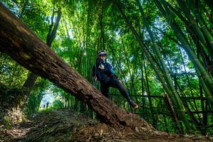 BIB: 
                            <button type="button" onclick="openModal(19002520)" class="btn btn-primary btn-sm float-right btn-popup" data-toggle="modal" data-target=".modal-high-quality">
                        <i class="fas fa-shopping-cart"></i> Add to Cart
                    </button>
                                            <button type="button" onclick="isThisMe(19002520, true)" class="btn btn-success btn-sm float-right btn-popup btn-isme hidden" data-toggle="tooltip" data-placement="bottom" title="นี่คือรูปของคุณใช่ไหม คลิกที่นี่เพื่อเอาเข้าอัลบั้ม">
                        <i class="fas fa-plus"></i> Add to album
                    </button>
                    <button type="button" onclick="isThisMe(19002520, false)" class="btn btn-warning btn-sm float-right btn-popup btn-isnotme hidden">
                        <i class="fas fa-ban"></i> Remove from album
                    </button>