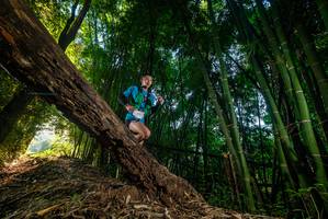 BIB: 
                            <button type="button" onclick="openModal(18986310)" class="btn btn-primary btn-sm float-right btn-popup" data-toggle="modal" data-target=".modal-high-quality">
                        <i class="fas fa-shopping-cart"></i> Add to Cart
                    </button>
                                            <button type="button" onclick="isThisMe(18986310, true)" class="btn btn-success btn-sm float-right btn-popup btn-isme hidden" data-toggle="tooltip" data-placement="bottom" title="นี่คือรูปของคุณใช่ไหม คลิกที่นี่เพื่อเอาเข้าอัลบั้ม">
                        <i class="fas fa-plus"></i> Add to album
                    </button>
                    <button type="button" onclick="isThisMe(18986310, false)" class="btn btn-warning btn-sm float-right btn-popup btn-isnotme hidden">
                        <i class="fas fa-ban"></i> Remove from album
                    </button>