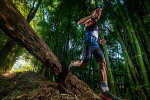 BIB: 
                            <button type="button" onclick="openModal(18986422)" class="btn btn-primary btn-sm float-right btn-popup" data-toggle="modal" data-target=".modal-high-quality">
                        <i class="fas fa-shopping-cart"></i> Add to Cart
                    </button>
                                            <button type="button" onclick="isThisMe(18986422, true)" class="btn btn-success btn-sm float-right btn-popup btn-isme hidden" data-toggle="tooltip" data-placement="bottom" title="นี่คือรูปของคุณใช่ไหม คลิกที่นี่เพื่อเอาเข้าอัลบั้ม">
                        <i class="fas fa-plus"></i> Add to album
                    </button>
                    <button type="button" onclick="isThisMe(18986422, false)" class="btn btn-warning btn-sm float-right btn-popup btn-isnotme hidden">
                        <i class="fas fa-ban"></i> Remove from album
                    </button>