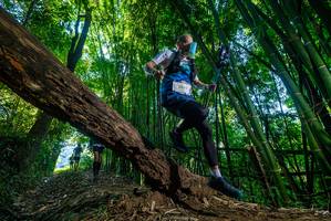 BIB: 2801
                            <button type="button" onclick="openModal(19000263)" class="btn btn-primary btn-sm float-right btn-popup" data-toggle="modal" data-target=".modal-high-quality">
                        <i class="fas fa-shopping-cart"></i> Add to Cart
                    </button>
                                            <button type="button" onclick="isThisMe(19000263, true)" class="btn btn-success btn-sm float-right btn-popup btn-isme hidden" data-toggle="tooltip" data-placement="bottom" title="นี่คือรูปของคุณใช่ไหม คลิกที่นี่เพื่อเอาเข้าอัลบั้ม">
                        <i class="fas fa-plus"></i> Add to album
                    </button>
                    <button type="button" onclick="isThisMe(19000263, false)" class="btn btn-warning btn-sm float-right btn-popup btn-isnotme hidden">
                        <i class="fas fa-ban"></i> Remove from album
                    </button>