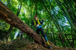 BIB: 
                            <button type="button" onclick="openModal(19056158)" class="btn btn-primary btn-sm float-right btn-popup" data-toggle="modal" data-target=".modal-high-quality">
                        <i class="fas fa-shopping-cart"></i> Add to Cart
                    </button>
                                            <button type="button" onclick="isThisMe(19056158, true)" class="btn btn-success btn-sm float-right btn-popup btn-isme hidden" data-toggle="tooltip" data-placement="bottom" title="นี่คือรูปของคุณใช่ไหม คลิกที่นี่เพื่อเอาเข้าอัลบั้ม">
                        <i class="fas fa-plus"></i> Add to album
                    </button>
                    <button type="button" onclick="isThisMe(19056158, false)" class="btn btn-warning btn-sm float-right btn-popup btn-isnotme hidden">
                        <i class="fas fa-ban"></i> Remove from album
                    </button>