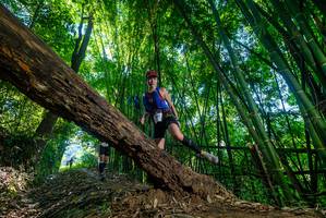 BIB: 
                            <button type="button" onclick="openModal(19000467)" class="btn btn-primary btn-sm float-right btn-popup" data-toggle="modal" data-target=".modal-high-quality">
                        <i class="fas fa-shopping-cart"></i> Add to Cart
                    </button>
                                            <button type="button" onclick="isThisMe(19000467, true)" class="btn btn-success btn-sm float-right btn-popup btn-isme hidden" data-toggle="tooltip" data-placement="bottom" title="นี่คือรูปของคุณใช่ไหม คลิกที่นี่เพื่อเอาเข้าอัลบั้ม">
                        <i class="fas fa-plus"></i> Add to album
                    </button>
                    <button type="button" onclick="isThisMe(19000467, false)" class="btn btn-warning btn-sm float-right btn-popup btn-isnotme hidden">
                        <i class="fas fa-ban"></i> Remove from album
                    </button>