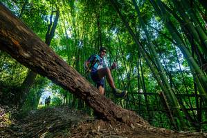 BIB: 
                            <button type="button" onclick="openModal(18998338)" class="btn btn-primary btn-sm float-right btn-popup" data-toggle="modal" data-target=".modal-high-quality">
                        <i class="fas fa-shopping-cart"></i> Add to Cart
                    </button>
                                            <button type="button" onclick="isThisMe(18998338, true)" class="btn btn-success btn-sm float-right btn-popup btn-isme hidden" data-toggle="tooltip" data-placement="bottom" title="นี่คือรูปของคุณใช่ไหม คลิกที่นี่เพื่อเอาเข้าอัลบั้ม">
                        <i class="fas fa-plus"></i> Add to album
                    </button>
                    <button type="button" onclick="isThisMe(18998338, false)" class="btn btn-warning btn-sm float-right btn-popup btn-isnotme hidden">
                        <i class="fas fa-ban"></i> Remove from album
                    </button>