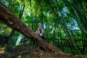 BIB: 
                            <button type="button" onclick="openModal(18997664)" class="btn btn-primary btn-sm float-right btn-popup" data-toggle="modal" data-target=".modal-high-quality">
                        <i class="fas fa-shopping-cart"></i> Add to Cart
                    </button>
                                            <button type="button" onclick="isThisMe(18997664, true)" class="btn btn-success btn-sm float-right btn-popup btn-isme hidden" data-toggle="tooltip" data-placement="bottom" title="นี่คือรูปของคุณใช่ไหม คลิกที่นี่เพื่อเอาเข้าอัลบั้ม">
                        <i class="fas fa-plus"></i> Add to album
                    </button>
                    <button type="button" onclick="isThisMe(18997664, false)" class="btn btn-warning btn-sm float-right btn-popup btn-isnotme hidden">
                        <i class="fas fa-ban"></i> Remove from album
                    </button>