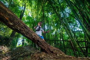 BIB: 
                            <button type="button" onclick="openModal(19001004)" class="btn btn-primary btn-sm float-right btn-popup" data-toggle="modal" data-target=".modal-high-quality">
                        <i class="fas fa-shopping-cart"></i> Add to Cart
                    </button>
                                            <button type="button" onclick="isThisMe(19001004, true)" class="btn btn-success btn-sm float-right btn-popup btn-isme hidden" data-toggle="tooltip" data-placement="bottom" title="นี่คือรูปของคุณใช่ไหม คลิกที่นี่เพื่อเอาเข้าอัลบั้ม">
                        <i class="fas fa-plus"></i> Add to album
                    </button>
                    <button type="button" onclick="isThisMe(19001004, false)" class="btn btn-warning btn-sm float-right btn-popup btn-isnotme hidden">
                        <i class="fas fa-ban"></i> Remove from album
                    </button>