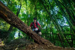 BIB: 
                            <button type="button" onclick="openModal(18998071)" class="btn btn-primary btn-sm float-right btn-popup" data-toggle="modal" data-target=".modal-high-quality">
                        <i class="fas fa-shopping-cart"></i> Add to Cart
                    </button>
                                            <button type="button" onclick="isThisMe(18998071, true)" class="btn btn-success btn-sm float-right btn-popup btn-isme hidden" data-toggle="tooltip" data-placement="bottom" title="นี่คือรูปของคุณใช่ไหม คลิกที่นี่เพื่อเอาเข้าอัลบั้ม">
                        <i class="fas fa-plus"></i> Add to album
                    </button>
                    <button type="button" onclick="isThisMe(18998071, false)" class="btn btn-warning btn-sm float-right btn-popup btn-isnotme hidden">
                        <i class="fas fa-ban"></i> Remove from album
                    </button>