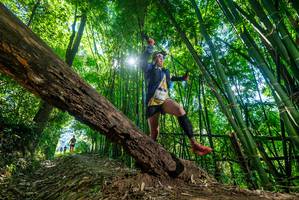 BIB: 
                            <button type="button" onclick="openModal(19063589)" class="btn btn-primary btn-sm float-right btn-popup" data-toggle="modal" data-target=".modal-high-quality">
                        <i class="fas fa-shopping-cart"></i> Add to Cart
                    </button>
                                            <button type="button" onclick="isThisMe(19063589, true)" class="btn btn-success btn-sm float-right btn-popup btn-isme hidden" data-toggle="tooltip" data-placement="bottom" title="นี่คือรูปของคุณใช่ไหม คลิกที่นี่เพื่อเอาเข้าอัลบั้ม">
                        <i class="fas fa-plus"></i> Add to album
                    </button>
                    <button type="button" onclick="isThisMe(19063589, false)" class="btn btn-warning btn-sm float-right btn-popup btn-isnotme hidden">
                        <i class="fas fa-ban"></i> Remove from album
                    </button>